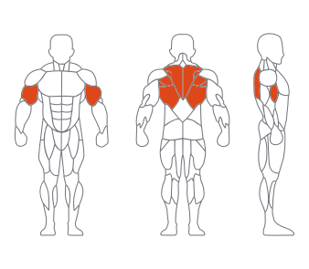 LD1034坐式平行拉背训练器 副本.png LD1034坐式平行拉背训练器 副本.png