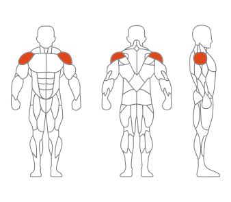 LD1006仰卧举肩训练器 副本 LD1006仰卧举肩训练器 副本