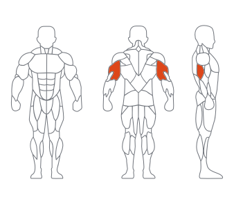 LD1027 0°三头肌练习器 副本
